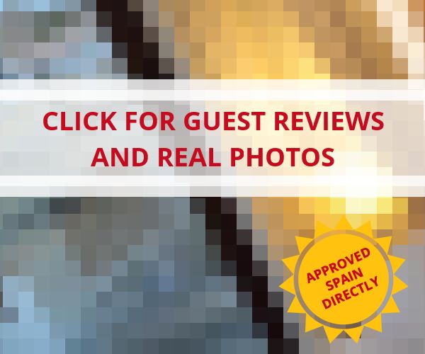 www.alcudiapetithotel.com - check out latest independent reviews