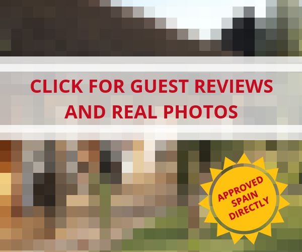 www.b-hotel.com - check out latest independent reviews