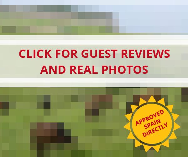 www.puntaballota.com - check out latest independent reviews