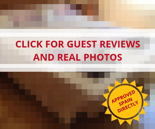www.zamoratreeservicellc.com - check out latest independent reviews